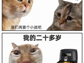 【球盟会】从前,有个人改良了空气炸锅