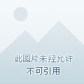 【球盟会】即使全是黑影也无法上架，这部动漫一直都未能完全引进