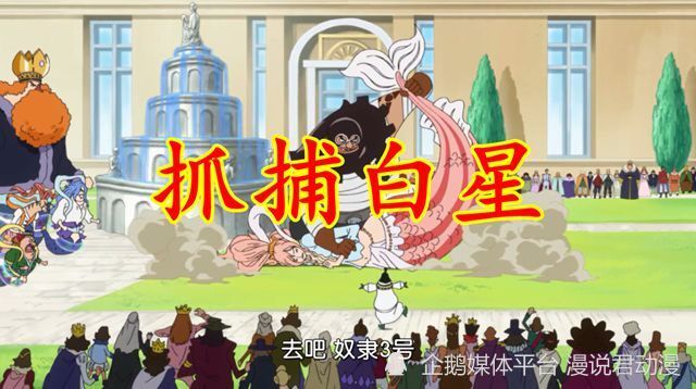 海贼王1084：查尔罗斯贼心不死，指挥熊抓捕白星，老蔡雷欧出手了