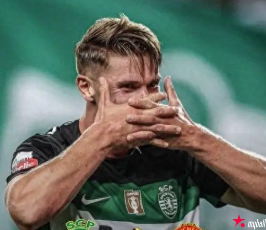 迈博体育 瑞典射手哲凯赖什示好曼联，或成阿莫林解题关键