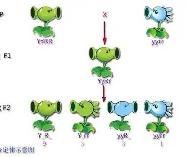 高中课本四大顶级天才，或许他们真的比我聪明？