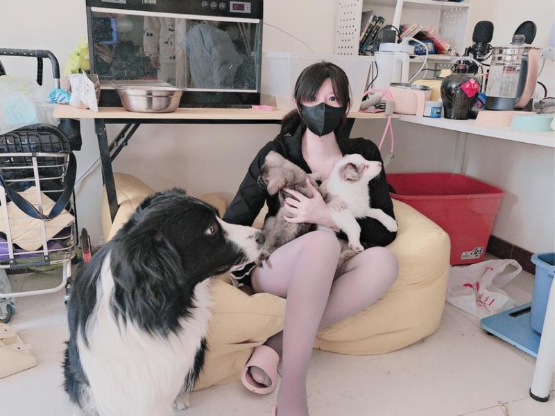 即使世界抛弃你，你的小狗也会永远爱你