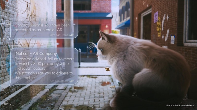 在《云族裔》中扮演法外狂徒并畅游度假岛，是一种什么样的体验？