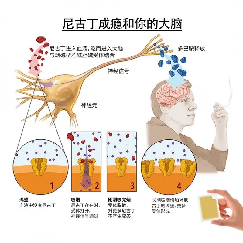 你在某些方面成瘾了吗？