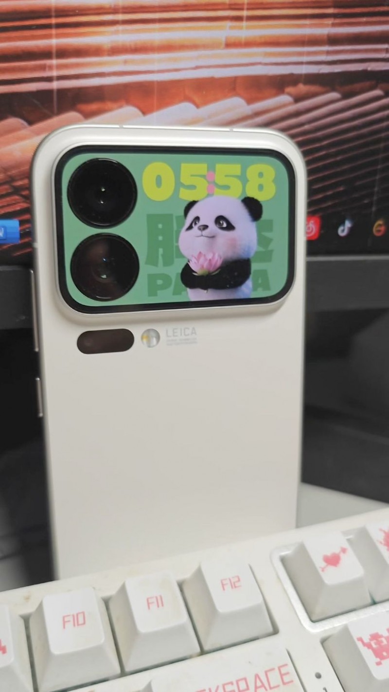 ZSBD