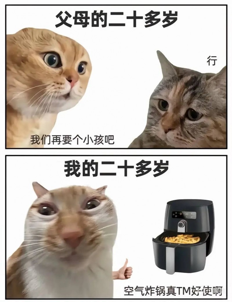 从前，有个人改良了空气炸锅