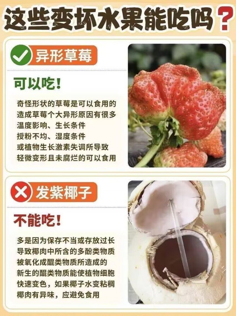 【球盟会】老登焚诀（大合集）