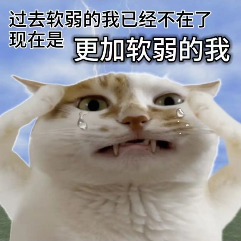 【球盟会】【自我重建】克服自卑：从今天起，做认可自己的人