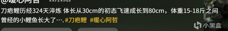 【球盟会】我心如铁，坚不可摧