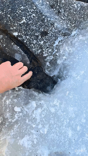 【球盟会】就问，有了这个哪个男生还能走得动路！