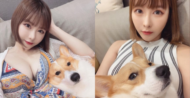 【球盟会】看看這鄙視的眼神！「Sylvia 希維亞」愛犬爽躺人肉軟墊好羨慕