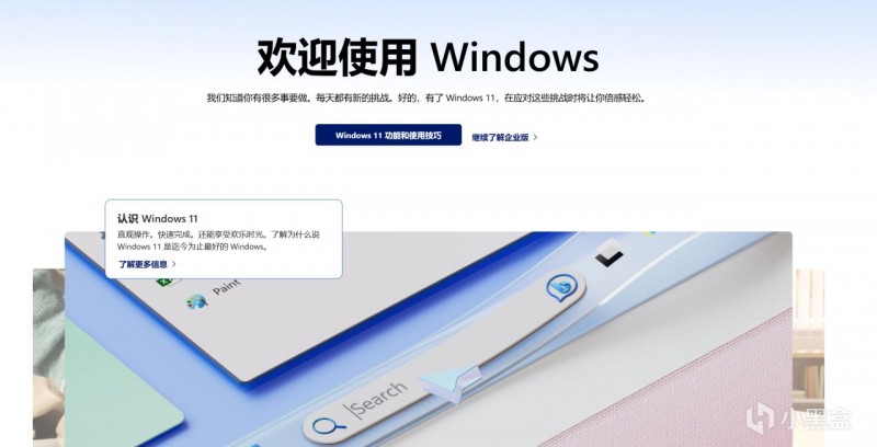 【球盟会】又闯祸：Windows11三月更新导致部分用户无法访问 C 盘