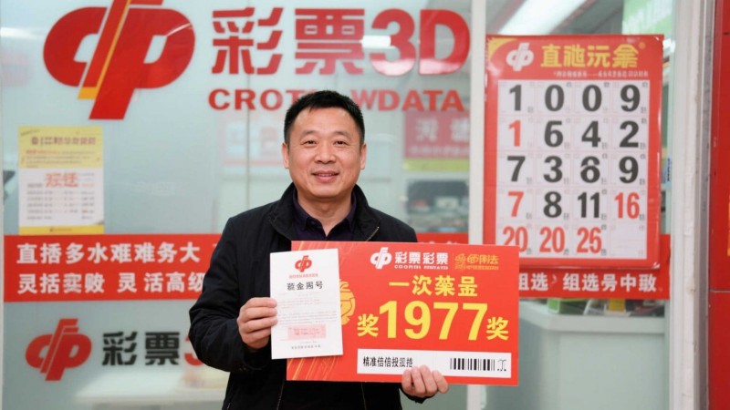 3D彩票的直选与组选:哪种玩法更适合追求高回报的你?