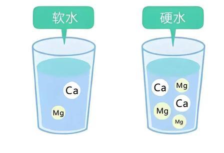 【球盟会】【冷百科】为啥生的水口感会涩涩的？